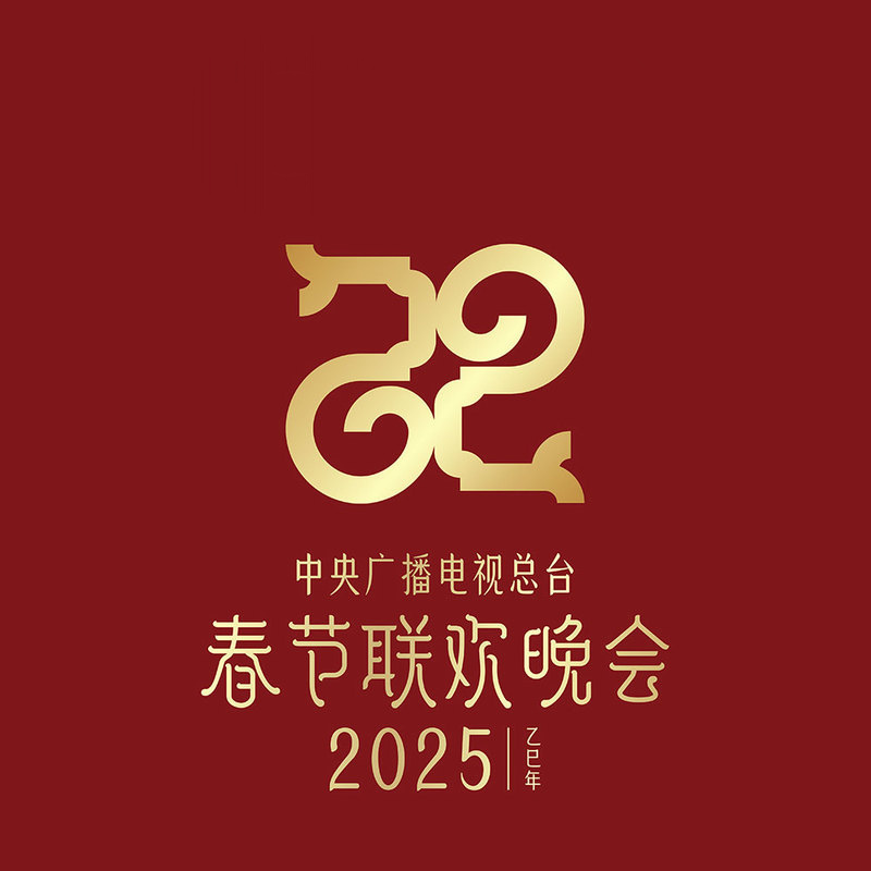 2025 央视春晚项目画面